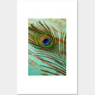 Peacock Feather With Dew Drop Posters and Art